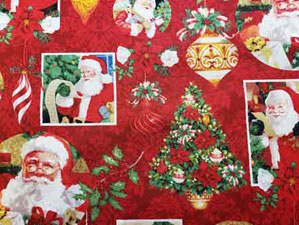 Santa Claus close up